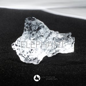 Levynkansi: Lighthouse Sparrows, Elephant, single (2022)
